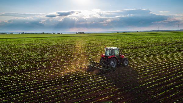 Farm sustainable image Medium