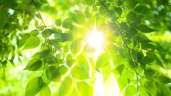 We care for the planet Medium
